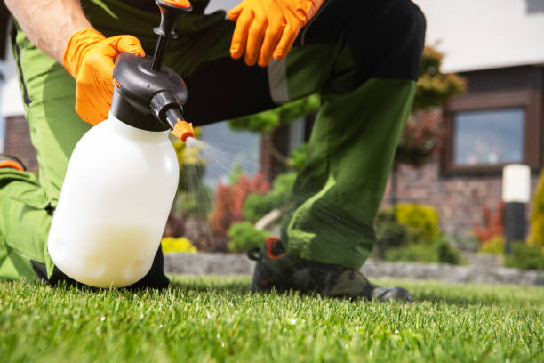 Best Local Pest Control Services  in White Plains, NC