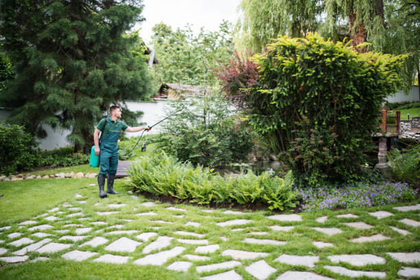 Best Pest Control Near Me in White Plains, NC