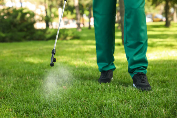 Best Affordable Pest Control Services  in White Plains, NC