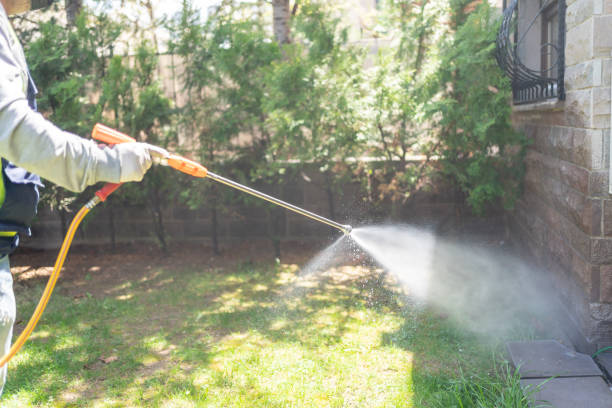 Best Spider Control Near Me  in White Plains, NC