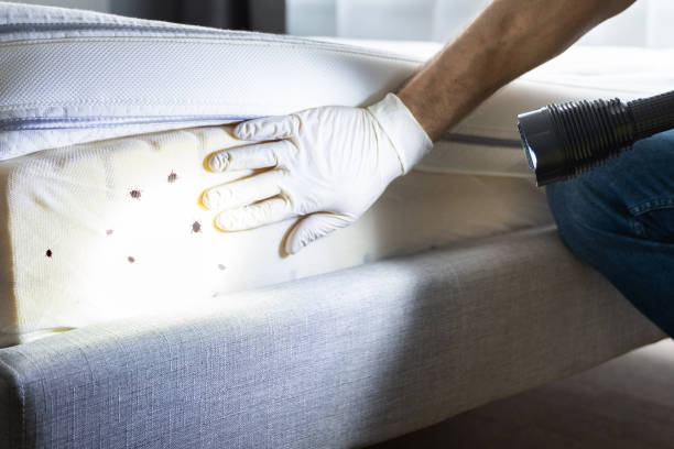 Best Pest Control Near Me  in White Plains, NC