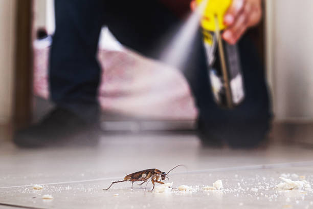Best Best Pest Control Companies  in White Plains, NC