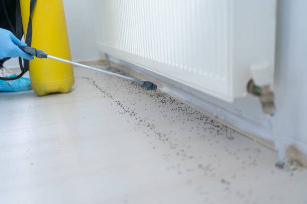 Best Residential Pest Control  in White Plains, NC
