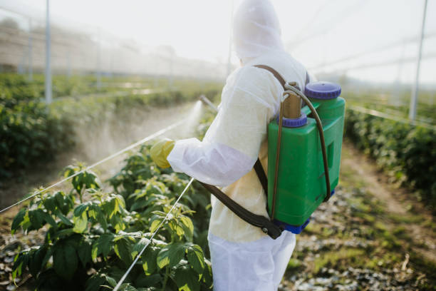 Best Cockroach Control Services  in White Plains, NC